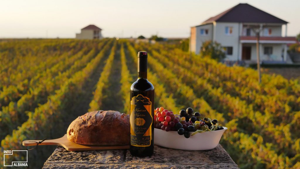 Albanian Wine
